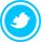 Опубликовать в Twitter